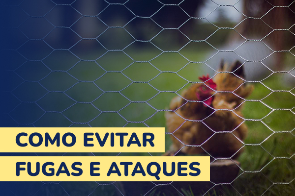 Segurança: Como Evitar Fugas e Ataques em Propriedades Rurais Segurança: Como Evitar Fugas e Ataques em Propriedades Rurais