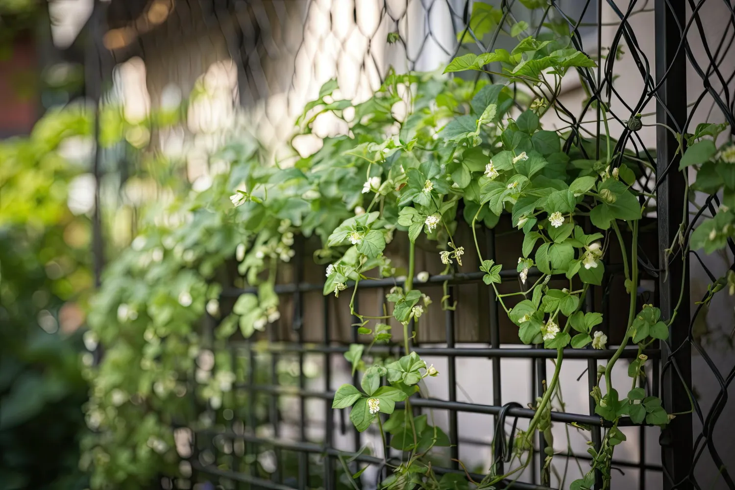Como montar um jardim vertical utilizando telas Como montar um jardim vertical utilizando telas