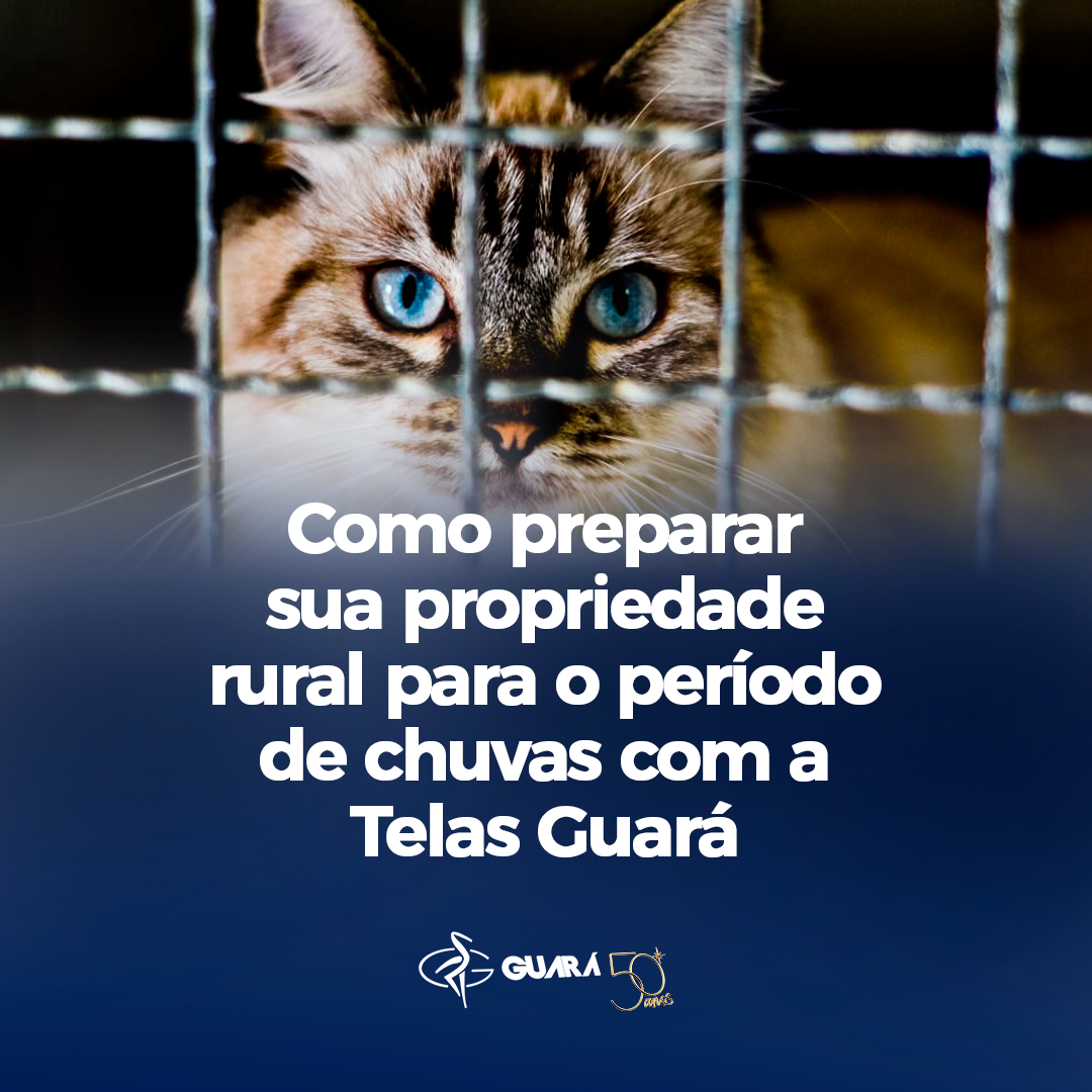 Como preparar sua propriedade rural para o período de chuvas com a Telas Guará Como preparar sua propriedade rural para o período de chuvas com a Telas Guará