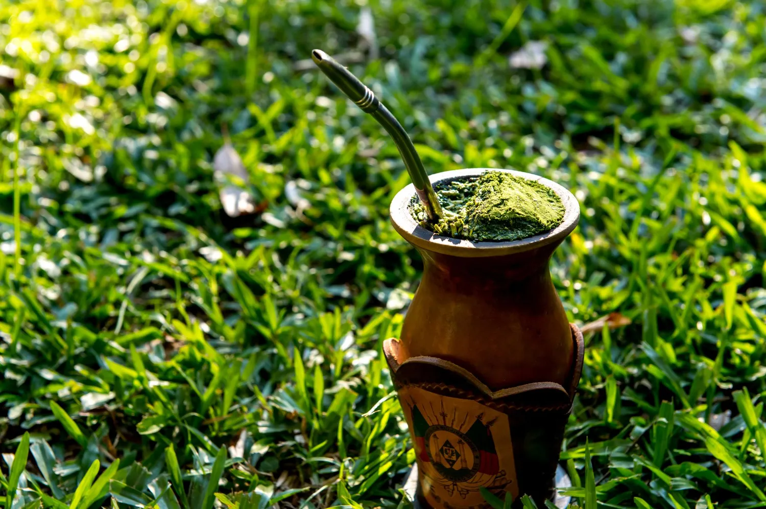 Guia essencial para a produção de erva-mate Guia essencial para a produção de erva-mate