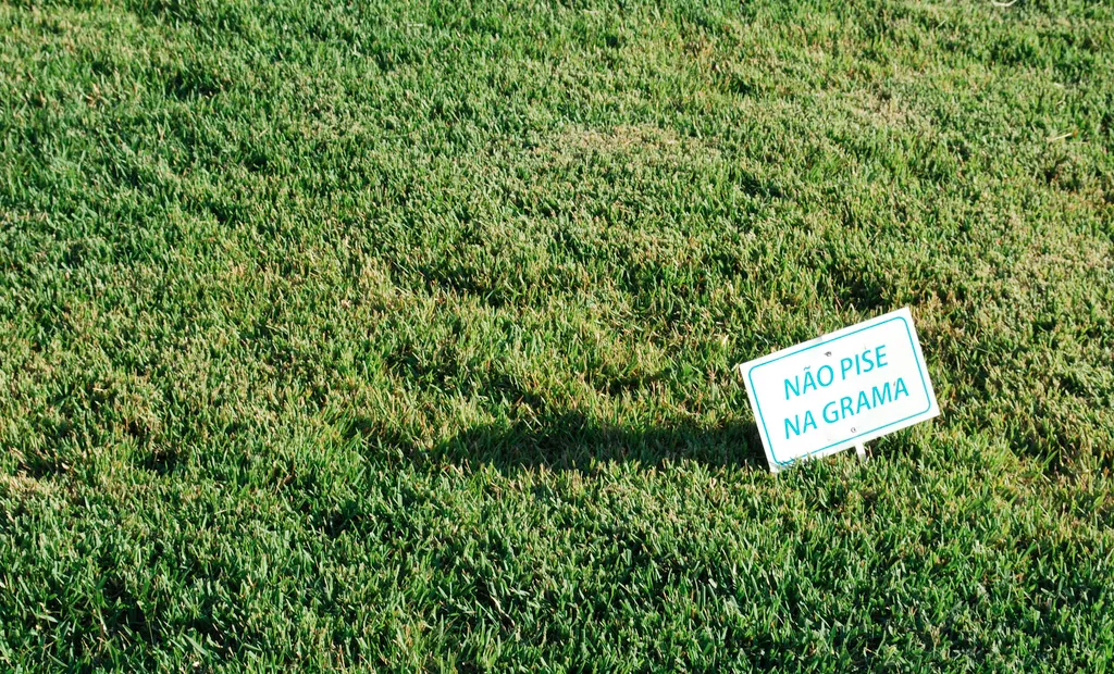 Não pise na grama: saiba como proteger o seu jardim Não pise na grama: saiba como proteger o seu jardim