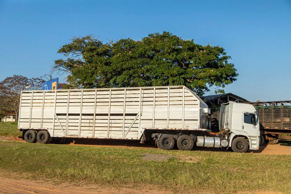 Segurança no transporte de carga viva Segurança no transporte de carga viva