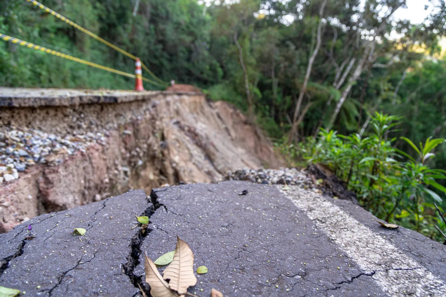 Sinais de risco de deslizamento de encostas: compreendendo a ameaça e como prevenir Sinais de risco de deslizamento de encostas: compreendendo a ameaça e como prevenir