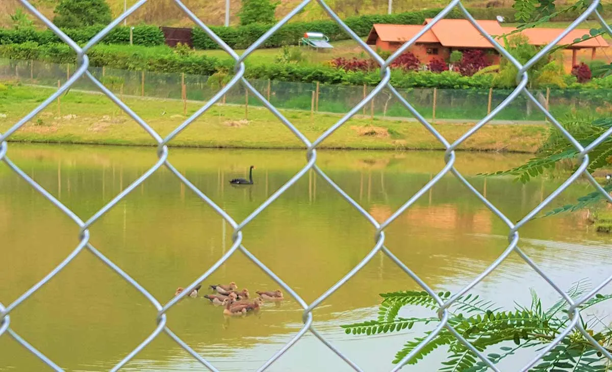 Soluções de cercamento para fazendas Soluções de cercamento para fazendas